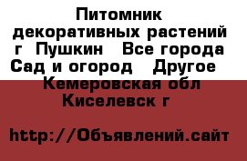 Питомник декоративных растений г. Пушкин - Все города Сад и огород » Другое   . Кемеровская обл.,Киселевск г.